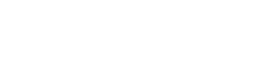 Logo 9